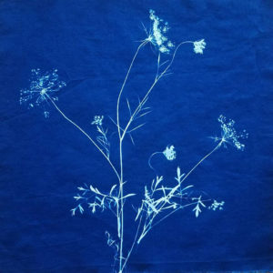 cyanfabric 2